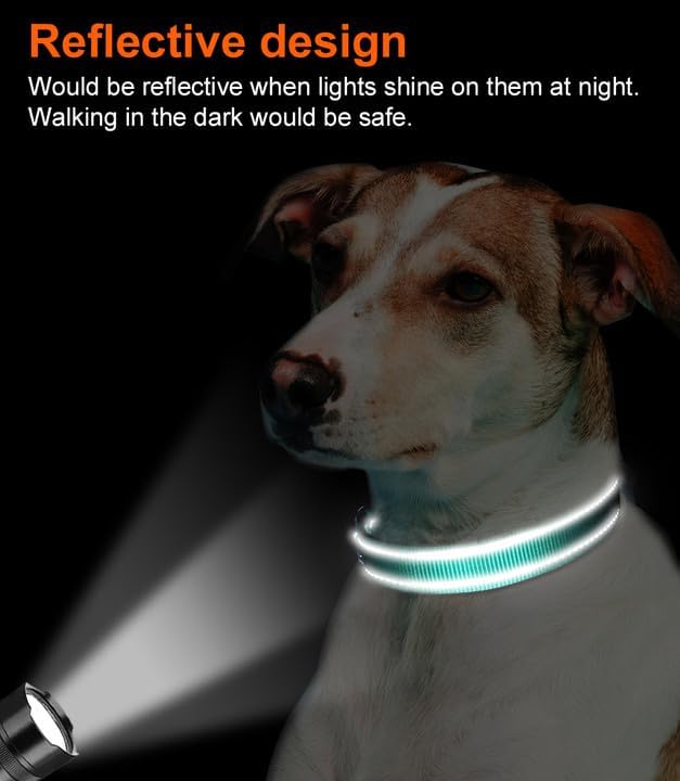 Joytale Reflective Dog Collar, Soft Neoprene Padded, Metal D-Ring, Nylon Pet Collar Adjustable for Large Dogs, Teal, L