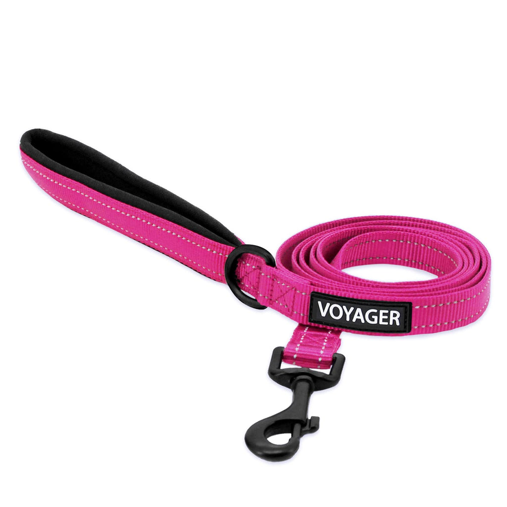 Best Pet Supplies Voyager Reflective Dog Leash or Collar with Neoprene Handle, for Small, Medium, and Large Breed Puppies, Cute and Heavy Duty for Walking, Running and Training - Fuchsia (Leash), S