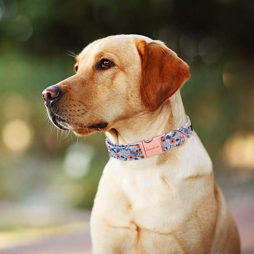 Unique Style Paws Dog Collar With Metal Buckle - Red Rose Flower Gift for Small, Medium, Large Boys Girls Dogs - Durable and Cute