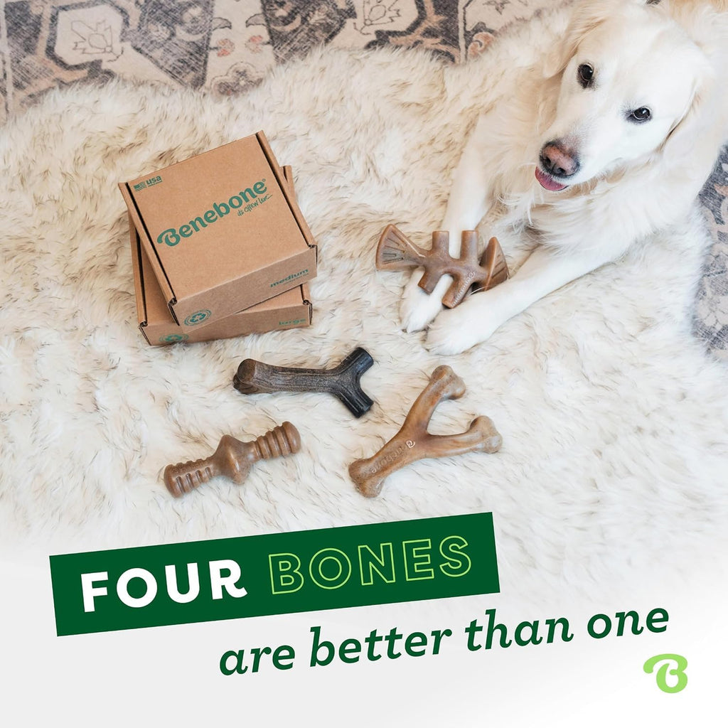 Benebone Medium 4-Pack Dog Toys for Aggressive Chewers – Durable Dog Bones, Made in USA – Dog Toys for Medium Dogs Under 60 lbs