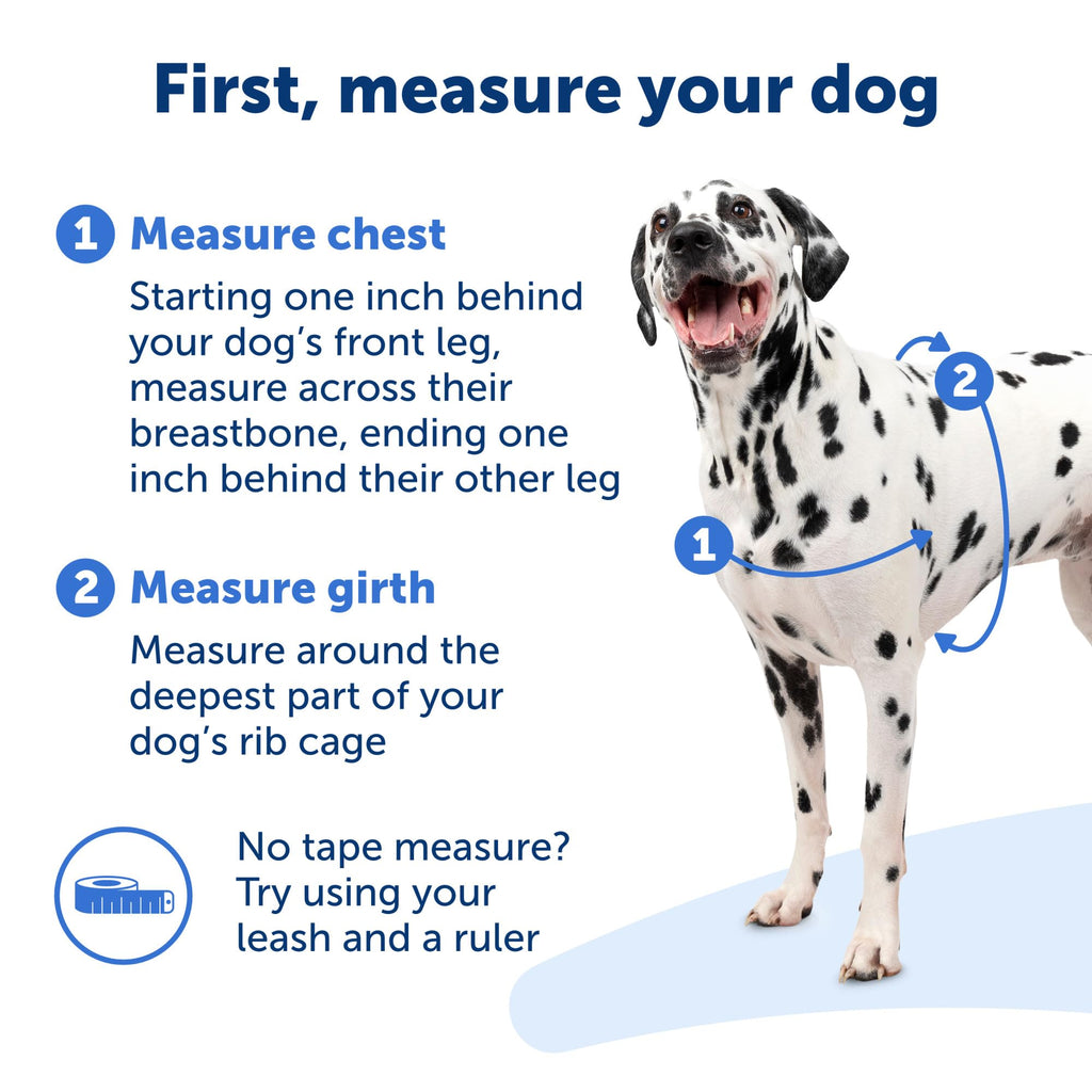 PetSafe Easy Walk No-Pull Dog Harness - The Ultimate Harness to Help Stop Pulling - Take Control & Teach Better Leash Manners - Helps Prevent Pets Pulling on Walks, Medium/Large, Raspberry/Gray
