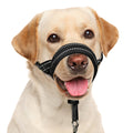 BARKLESS Soft Dog Head Collar, Patented Padded No Pull Head Halter, Training Nose Leash with Safety Link for Medium Large Dogs, Adjustable Muzzle Leash, Easy Control for Walking(Black, M)