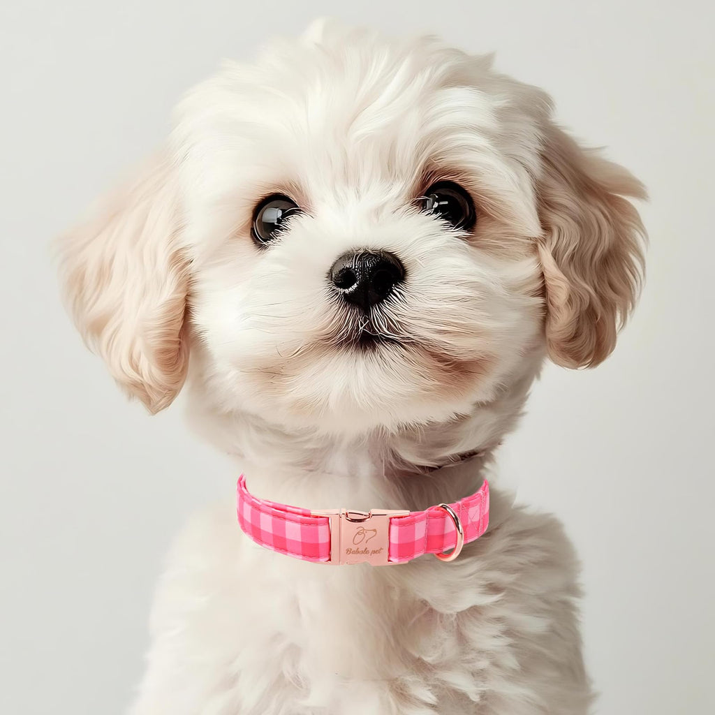 Babole Pet Pink Checkerboard Dog Collar, Classic Girly Plaid Dog Collars, Adjustable Heavy Duty Girl Dogs Collar for Small Medium Large Dogs with Metal Buckle S