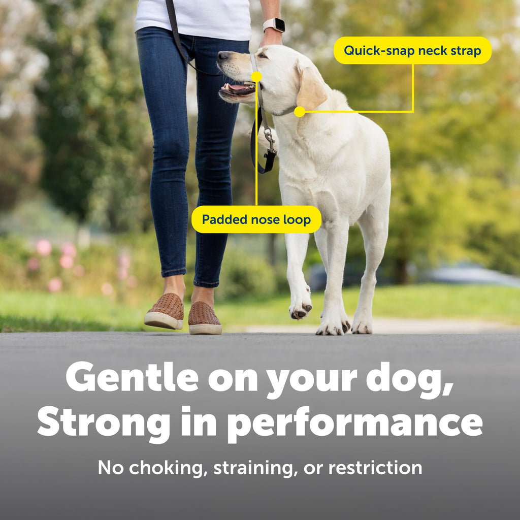 PetSafe Gentle Leader No-Pull Headcollar - Breathable Lightweight Walking Halter - Minimal Strap Design & Padded Nose Loop - Snout-Specific Fit - Helps Gain Easy Control