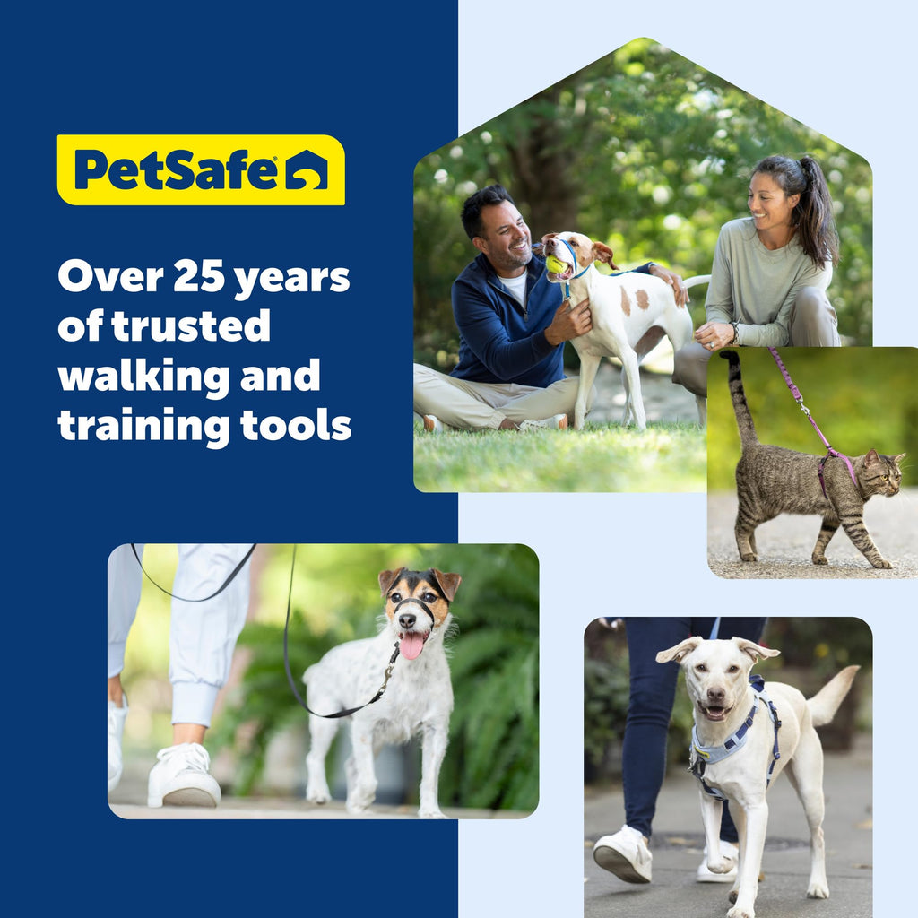 PetSafe Nylon Leash - Durable Cat & Dog Behavioral Training Leash - Compatible with Easy-Walk Harness - Traditional-Style Reliable Pet Lead with a Padded Hand Wrap - 3/8" x 6' - Black