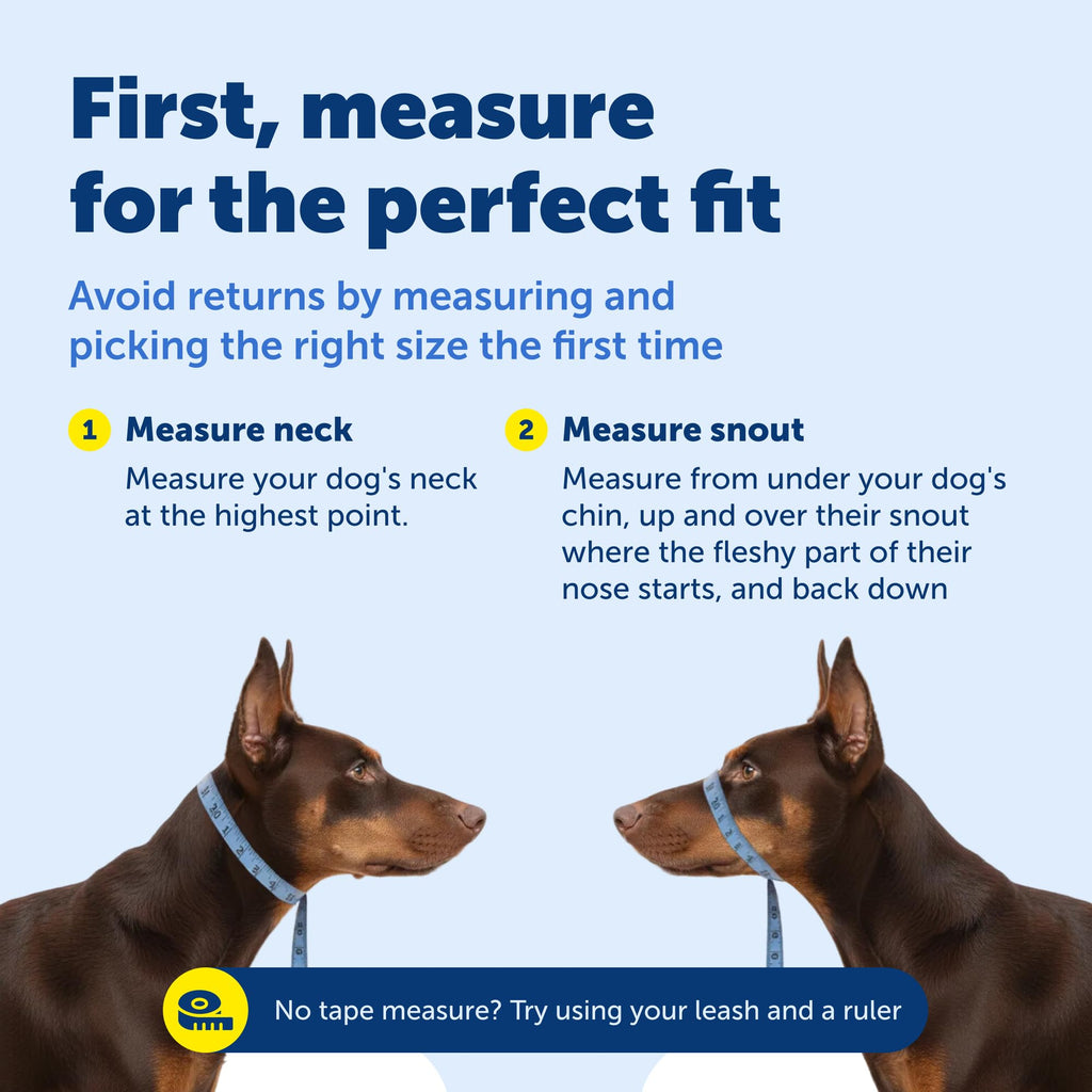 PetSafe Gentle Leader No-Pull Headcollar - Breathable Lightweight Walking Halter - Minimal Strap Design & Padded Nose Loop - Snout-Specific Fit - Helps Gain Easy Control