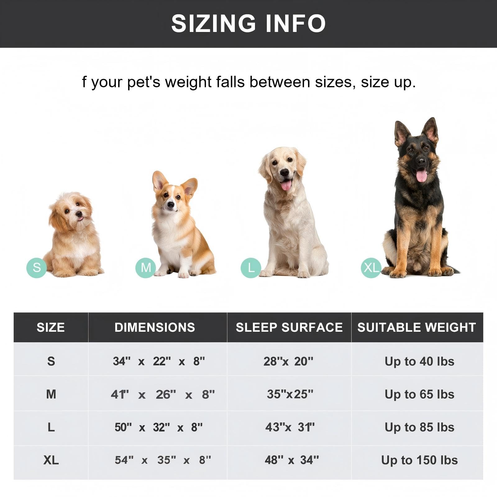 SIEMOUR 50" Lx32 Wx8 H Cooling Elevated Dog Bed for Large Dogs with Non-Slip Floor Protectors & Breathable Mesh, Raised Indoor & Outdoor Dog Cot Pet Hammock, Grey