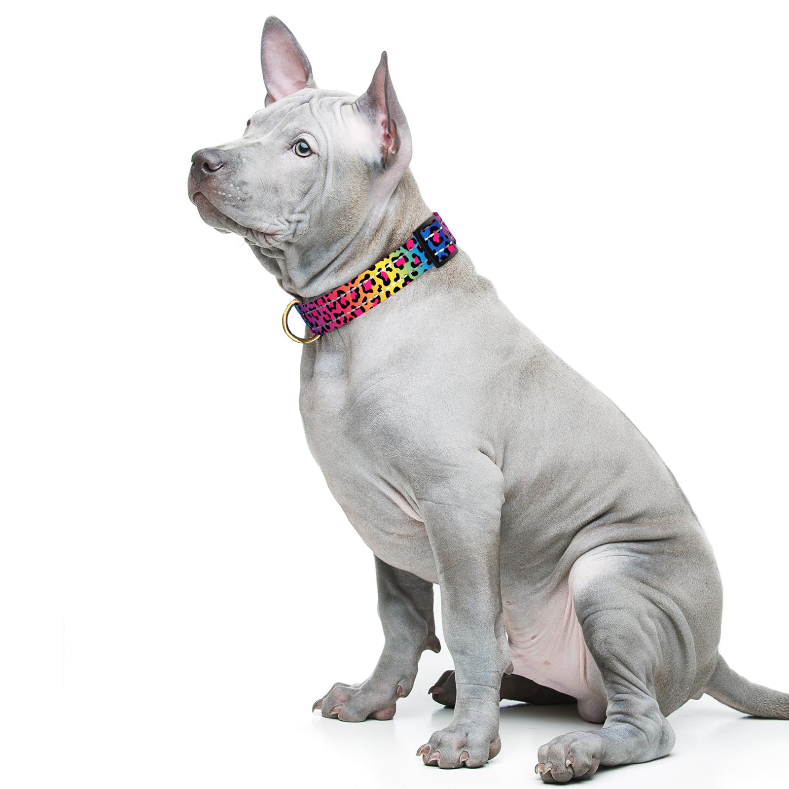 TMOODEL Reflective Dog Collar for Medium Dogs, Cute Leopard Style Adjustable Heavy-Duty Nylon Puppy Collar for Boy and Girl Female, Soft Pet Accessories with Quick Release Buckle, Neon