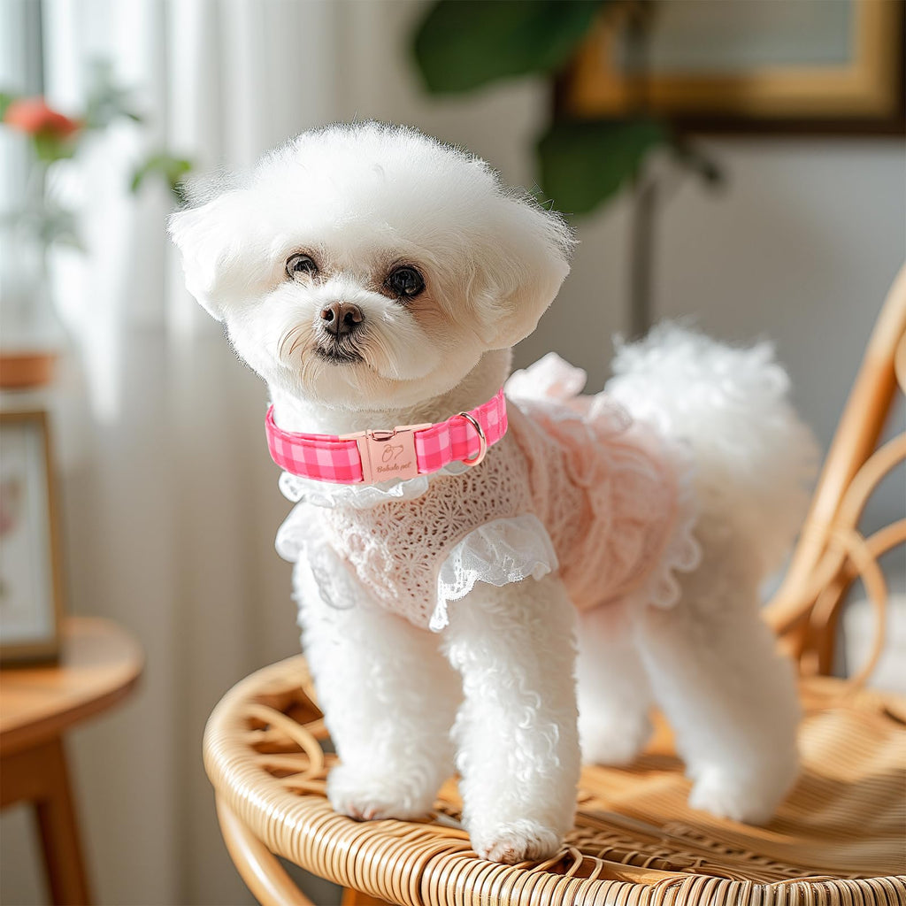 Babole Pet Pink Checkerboard Dog Collar, Classic Girly Plaid Dog Collars, Adjustable Heavy Duty Girl Dogs Collar for Small Medium Large Dogs with Metal Buckle S
