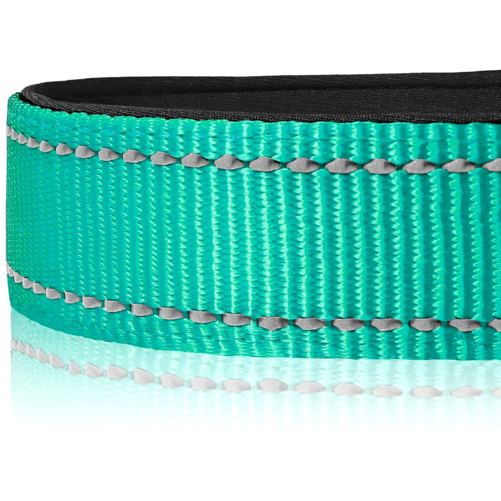 Joytale Reflective Dog Collar, Soft Neoprene Padded, Metal D-Ring, Nylon Pet Collar Adjustable for Large Dogs, Teal, L