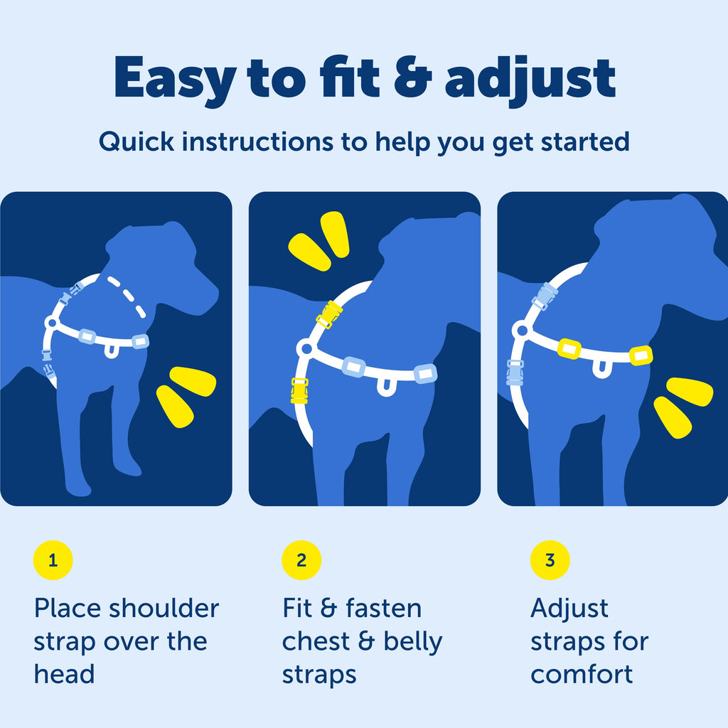PetSafe Easy Walk Deluxe Dog Harness, No Pull Dog Harness – Perfect for Leash & Harness Training – Stops Pets from Pulling and Choking on Walks – Medium, Ocean