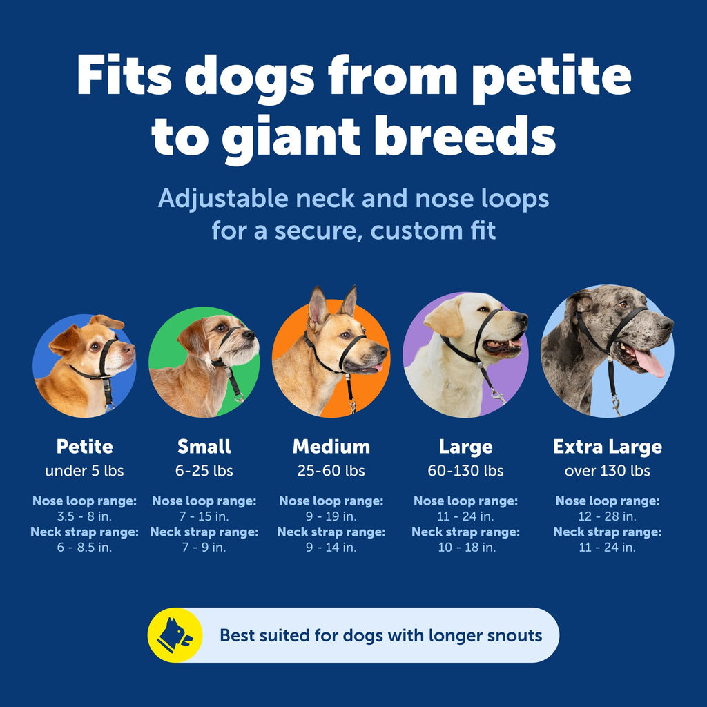 PetSafe Gentle Leader No-Pull Headcollar - Breathable Lightweight Walking Halter - Minimal Strap Design & Padded Nose Loop - Snout-Specific Fit - Helps Gain Easy Control