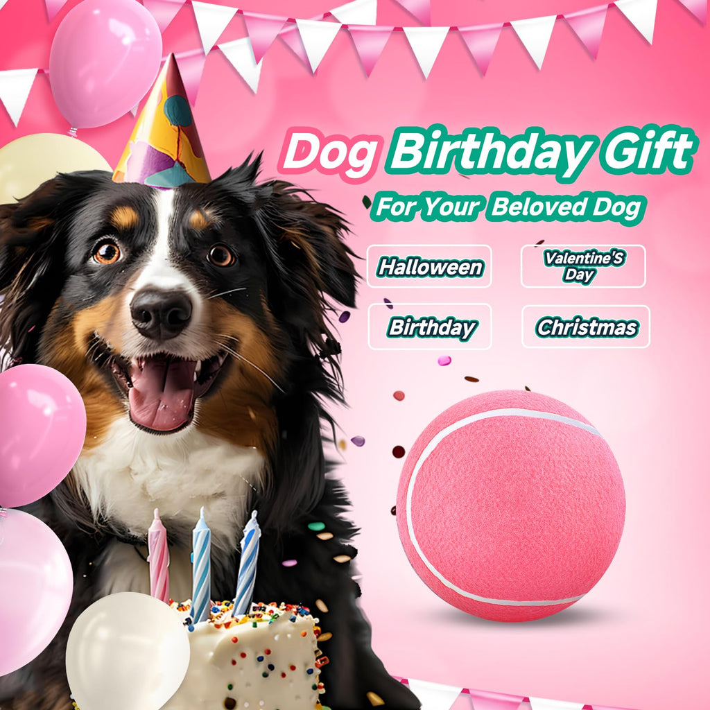 HETOO Large Dog Tennis Balls: 9.5 inch Pink Dog Toys- Giant Big Outdoor Dog Toys Balls- Dog Tennis Ball Toys for Small Medium Large Dogs- Pet Toys Birthday Gift