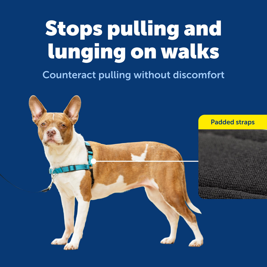 PetSafe Easy Walk Deluxe Dog Harness, No Pull Dog Harness – Perfect for Leash & Harness Training – Stops Pets from Pulling and Choking on Walks – Medium, Ocean