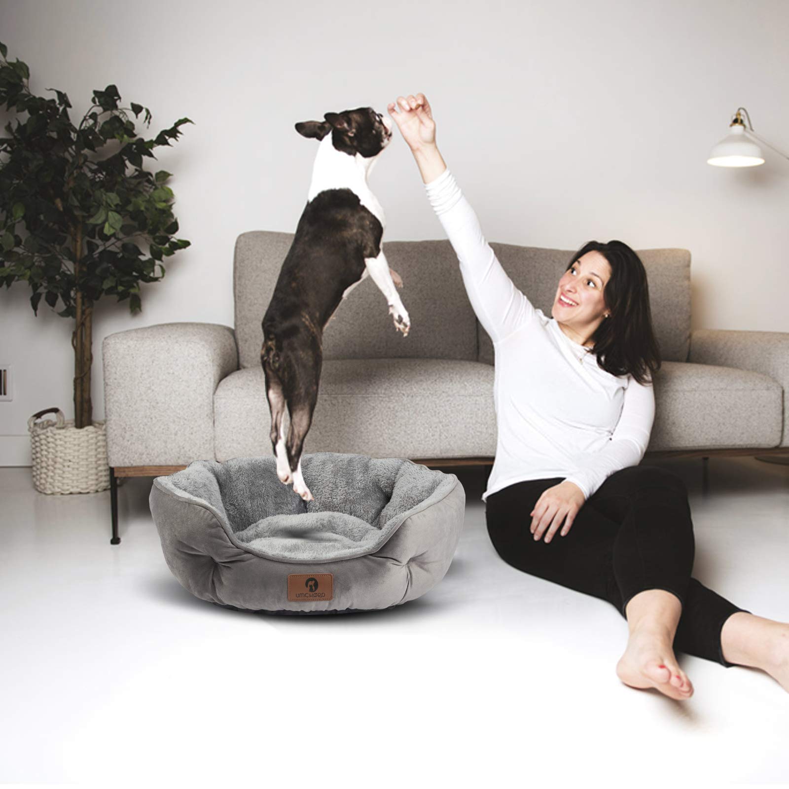 Asvin Small Dog Bed for Small Dogs, Cat Beds for Indoor Cats, Pet Bed for Puppy and Kitty, Extra Soft & Machine Washable with Anti-Slip & Water-Resistant Oxford Bottom, Grey