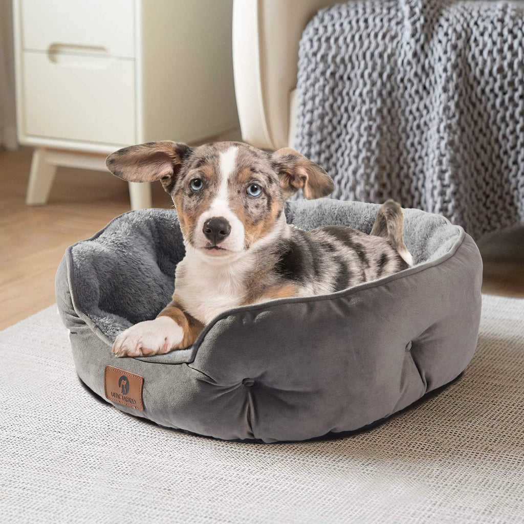 Asvin Small Dog Bed for Small Dogs, Cat Beds for Indoor Cats, Pet Bed for Puppy and Kitty, Extra Soft & Machine Washable with Anti-Slip & Water-Resistant Oxford Bottom, Grey