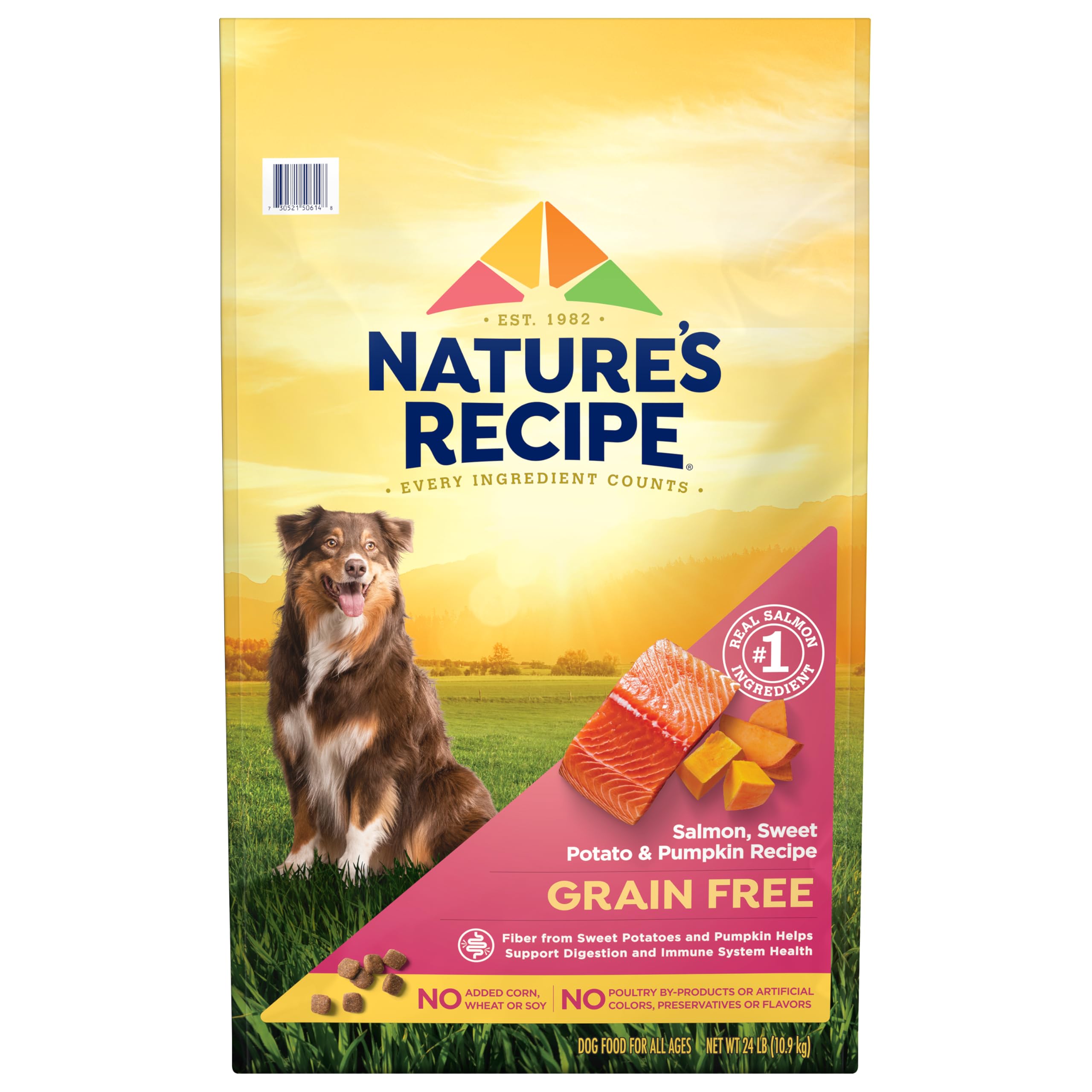 Nature’s Recipe Grain Free Dry Dog Food Salmon, Sweet Potato & Pumpkin Recipe, 24 lb. Bag