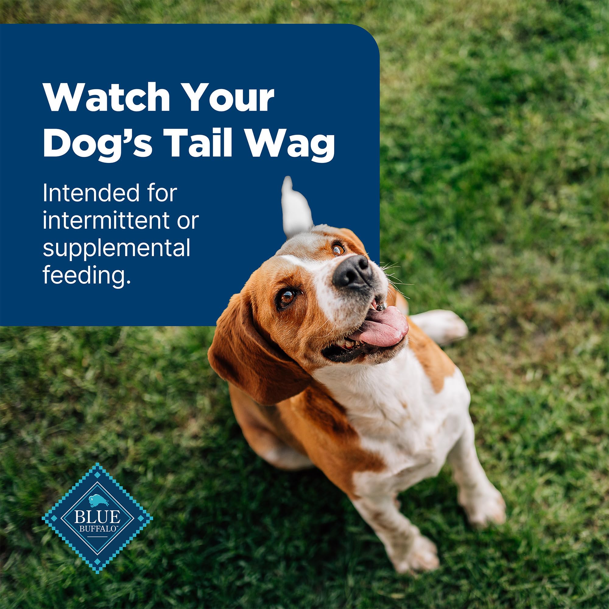 Blue Buffalo Nudges Grillers Natural Dog Treats with Real USA Beef, Made in the USA, Steak, 36-oz Bag