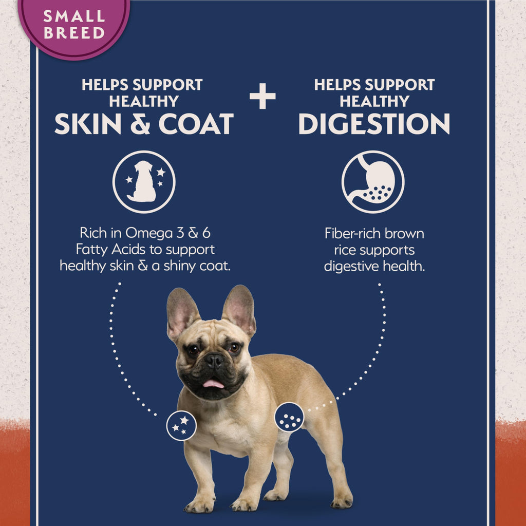 Natural Balance Limited Ingredient Small Breed Adult Grain-Free Dry Dog Food, Salmon & Sweet Potato Recipe, 4 Pound (Pack of 1)
