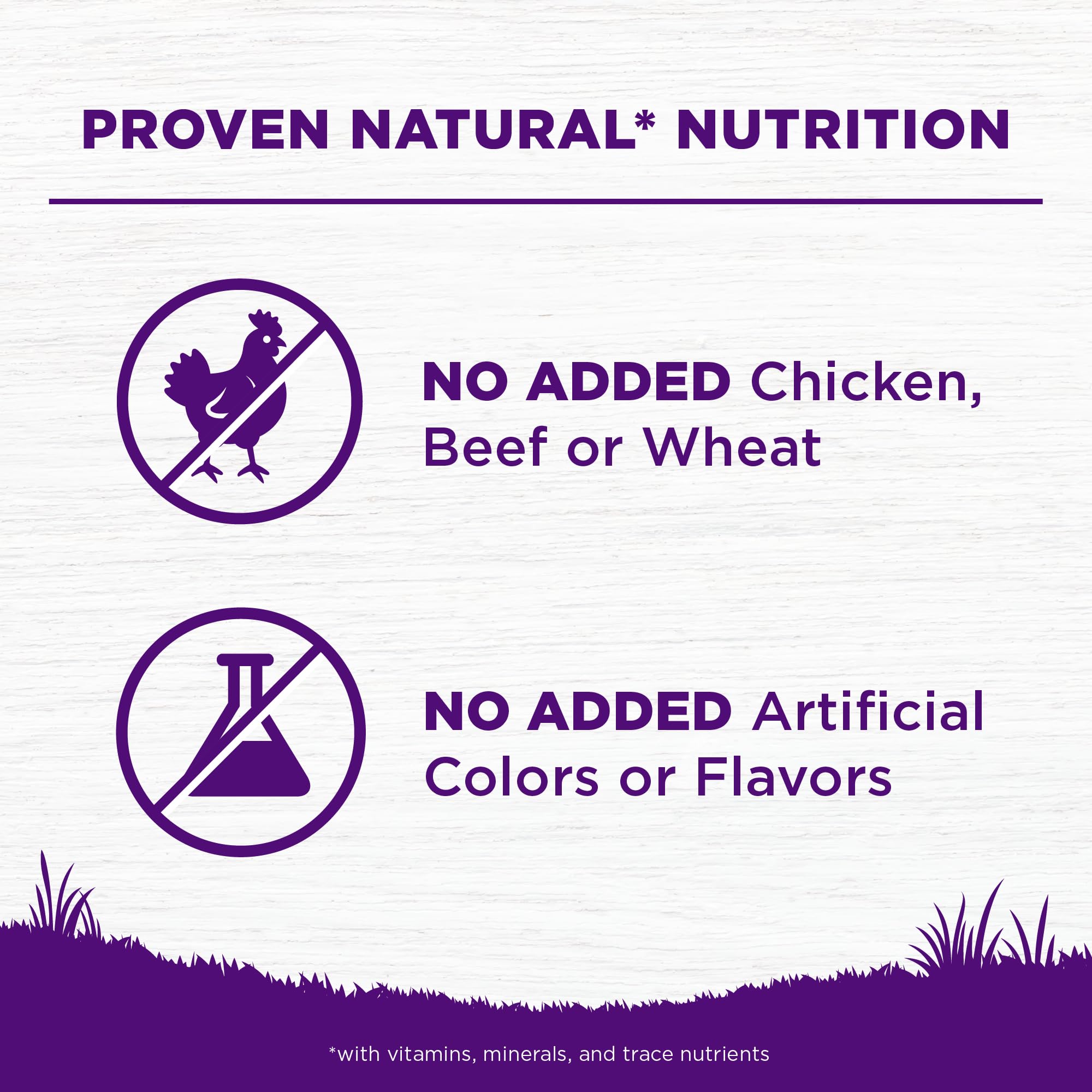 Wellness Complete Health Sensitive Skin & Stomach Dry Dog Food, Wholesome Grains, Natural, Salmon & Rice Recipe, (5-Pound Bag)