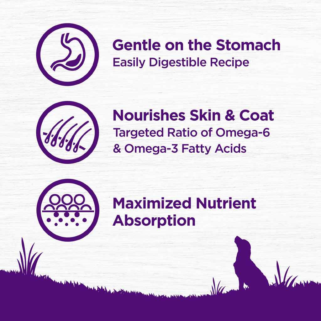 Wellness Complete Health Sensitive Skin & Stomach Dry Dog Food, Wholesome Grains, Natural, Salmon & Rice Recipe, (5-Pound Bag)