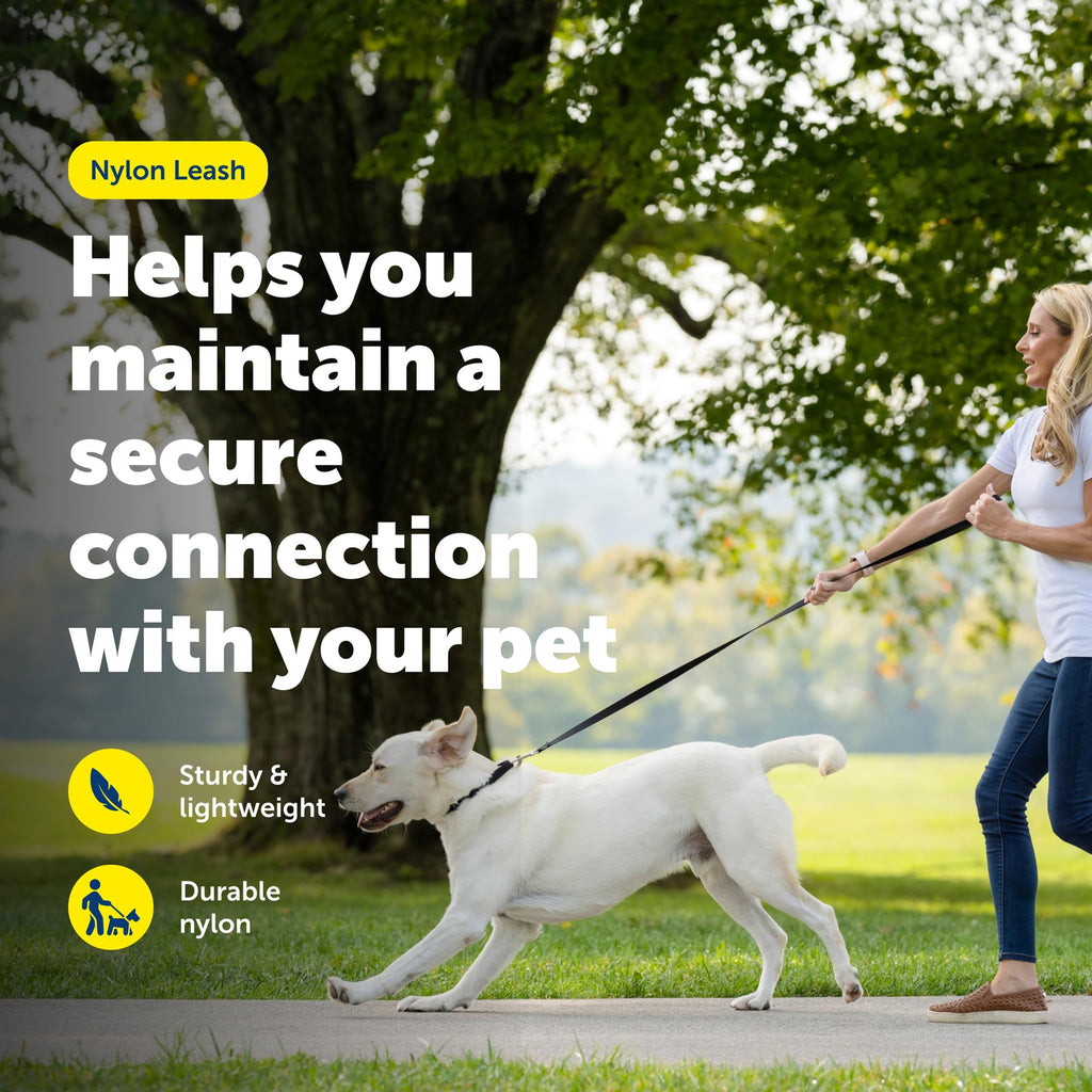 PetSafe Nylon Leash - Durable Cat & Dog Behavioral Training Leash - Compatible with Easy-Walk Harness - Traditional-Style Reliable Pet Lead with a Padded Hand Wrap - 3/8" x 6' - Black