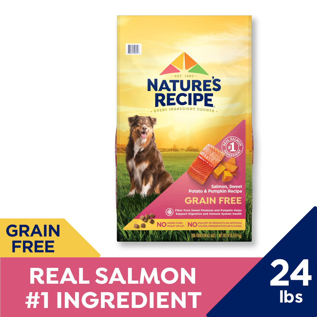 Nature’s Recipe Grain Free Dry Dog Food Salmon, Sweet Potato & Pumpkin Recipe, 24 lb. Bag
