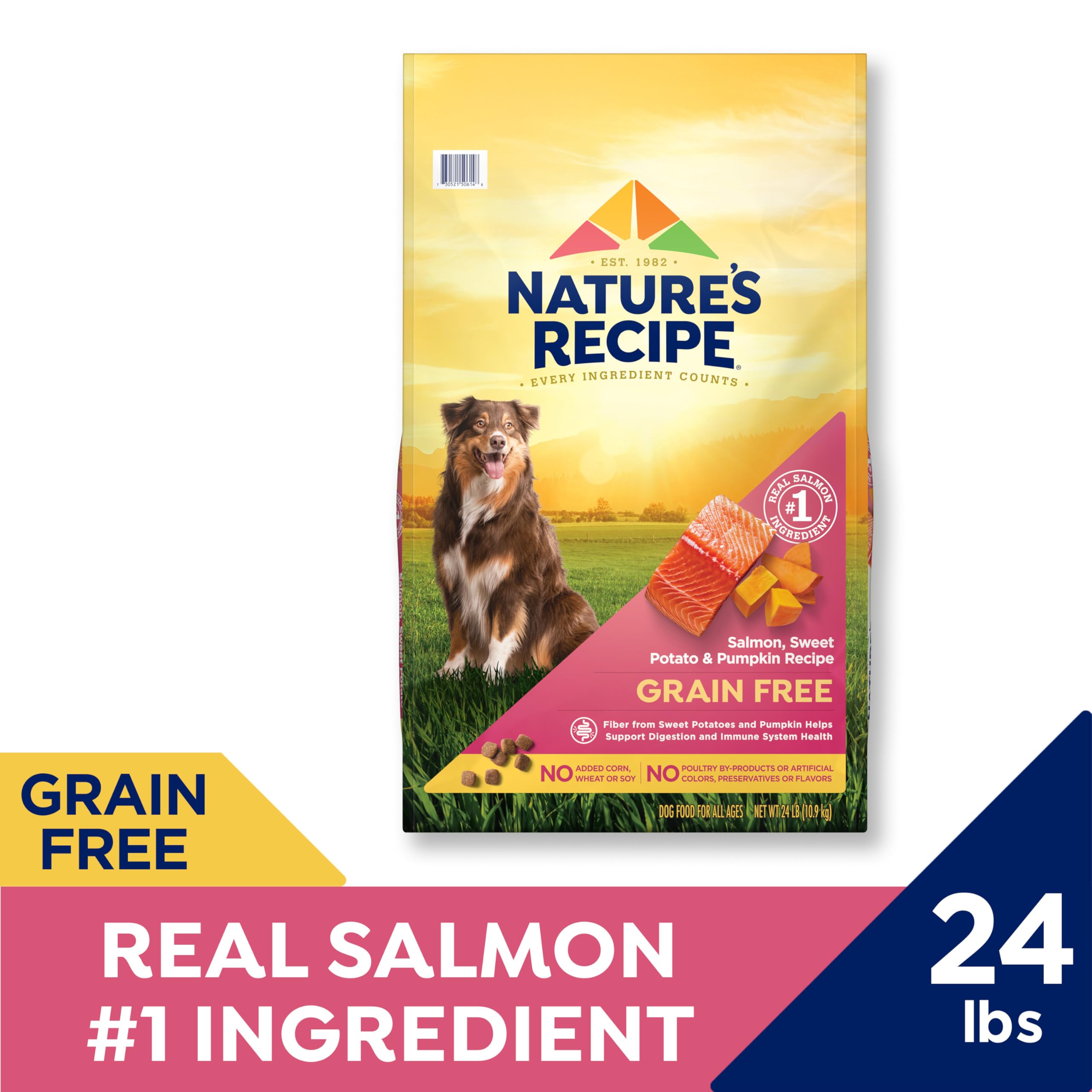 Nature’s Recipe Grain Free Dry Dog Food Salmon, Sweet Potato & Pumpkin Recipe, 24 lb. Bag