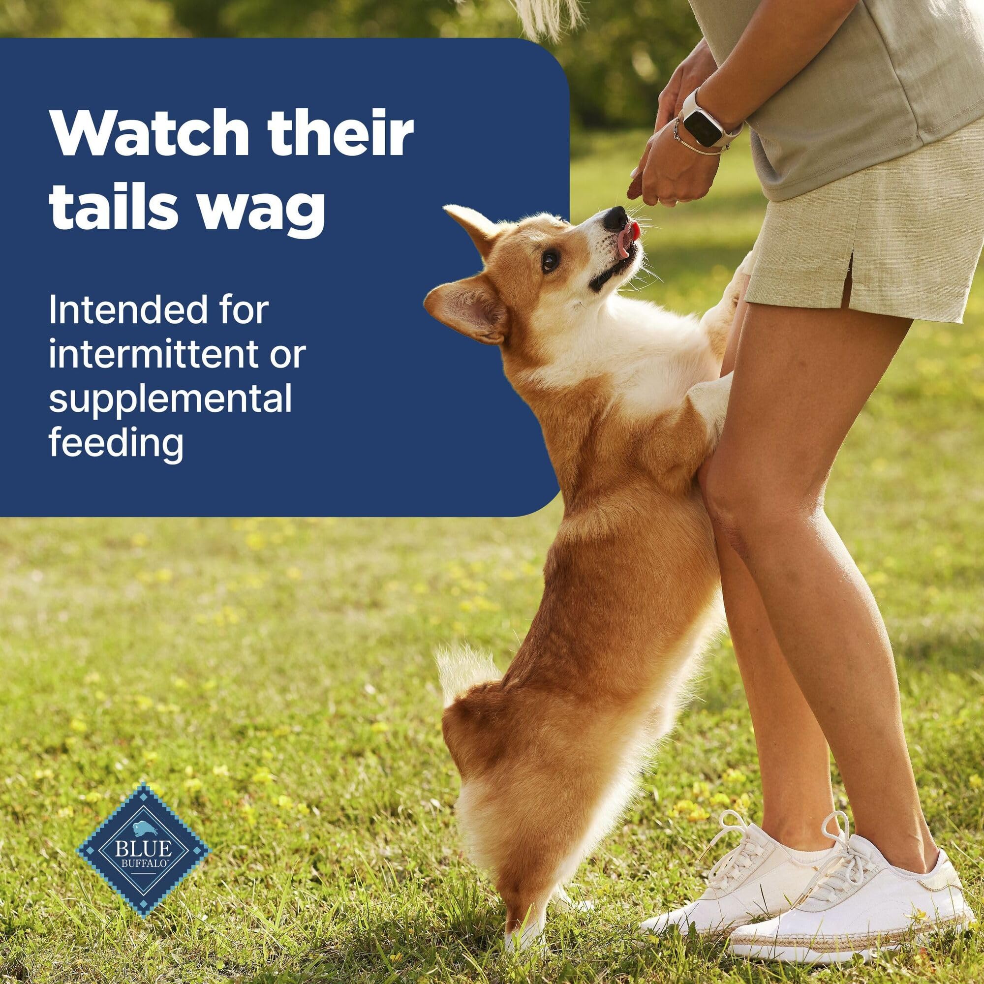 Blue Buffalo Nudges Grillers Natural Dog Treats with Real USA Beef, Made in the USA, Steak, 36-oz Bag