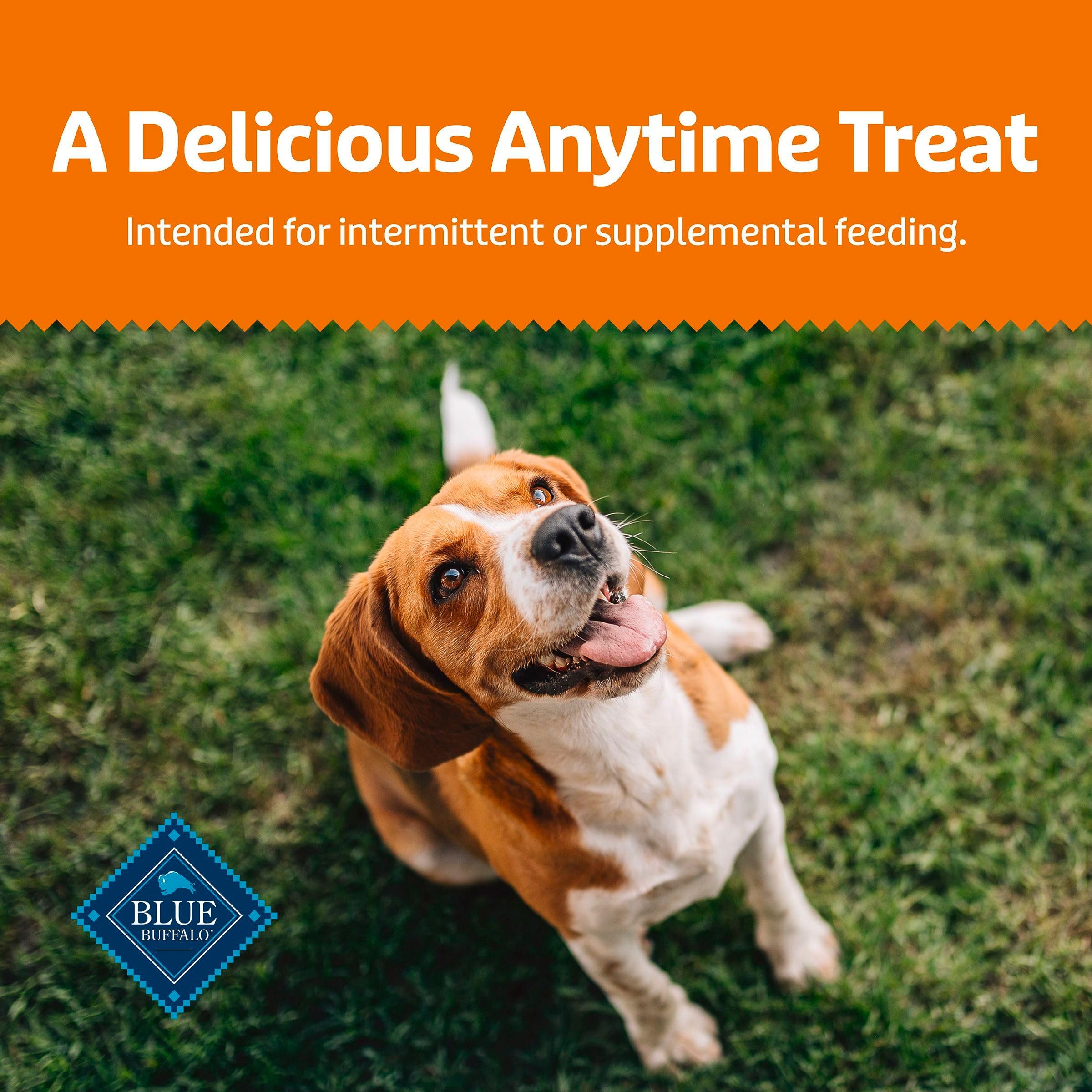 Blue Buffalo Health Bars Crunchy Dog Biscuits, Oven-Baked with Natural Ingredients, Pumpkin & Cinnamon, 16-oz Bag