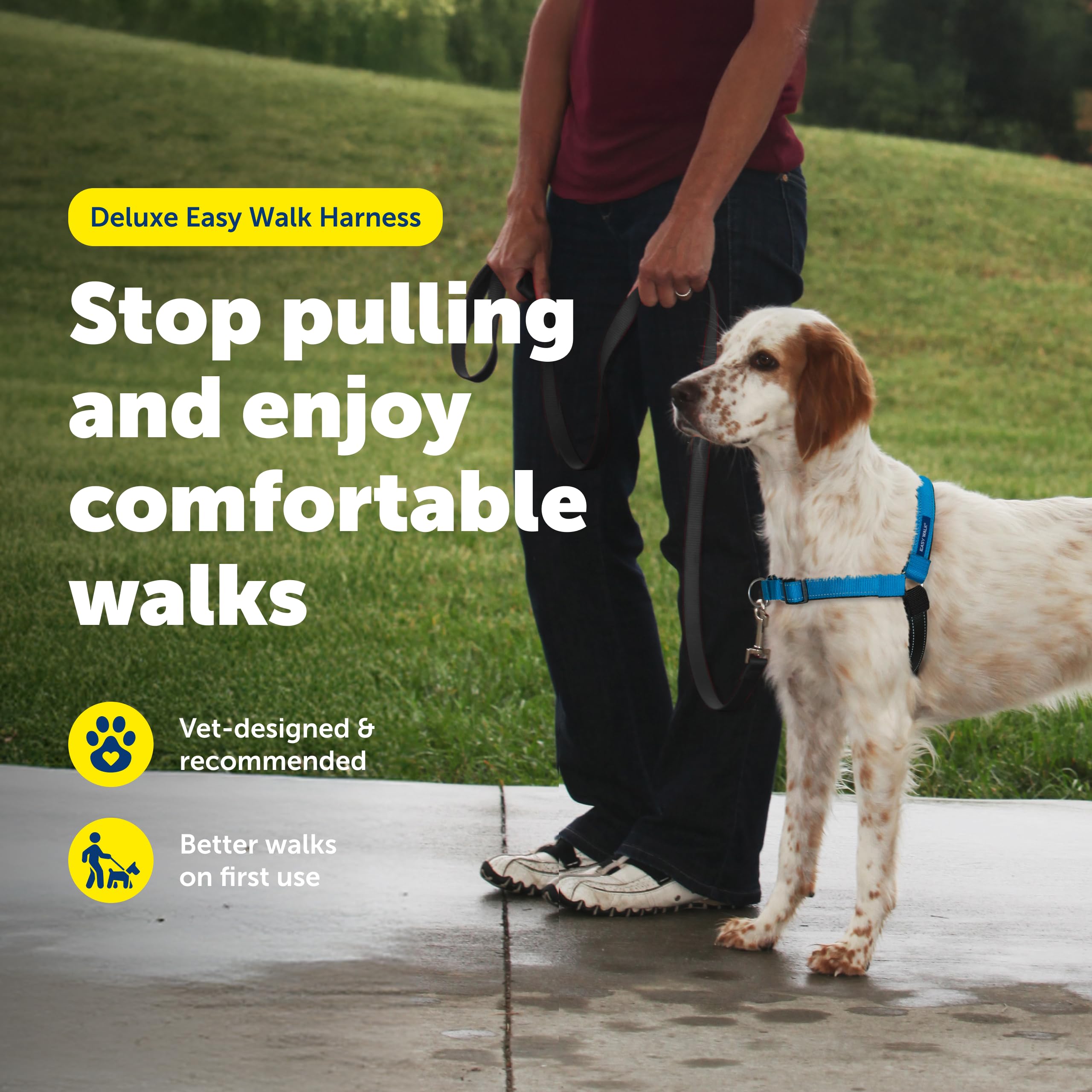 PetSafe Easy Walk Deluxe Dog Harness, No Pull Dog Harness – Perfect for Leash & Harness Training – Stops Pets from Pulling and Choking on Walks – Medium, Ocean