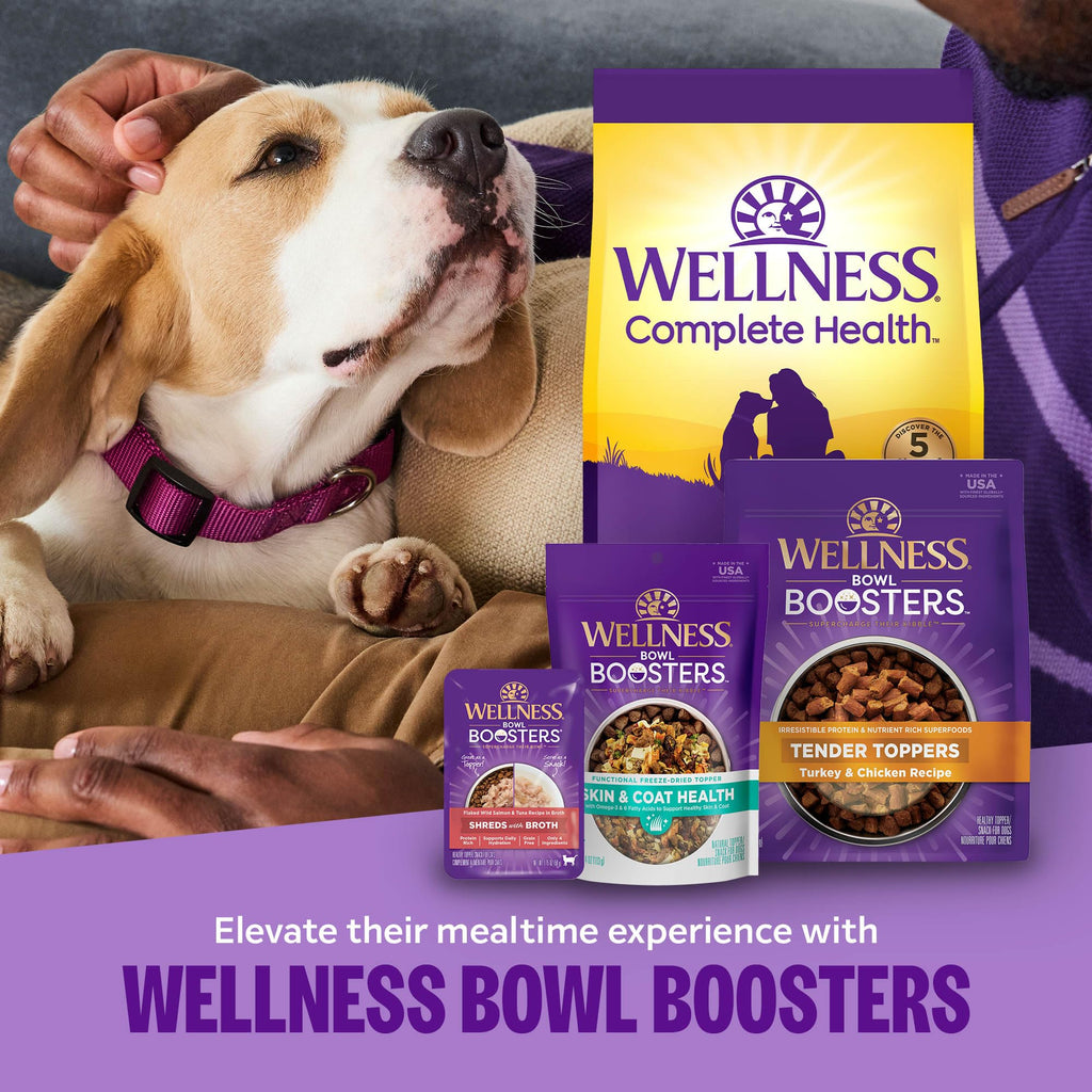 Wellness Complete Health Sensitive Skin & Stomach Dry Dog Food, Wholesome Grains, Natural, Salmon & Rice Recipe, (5-Pound Bag)