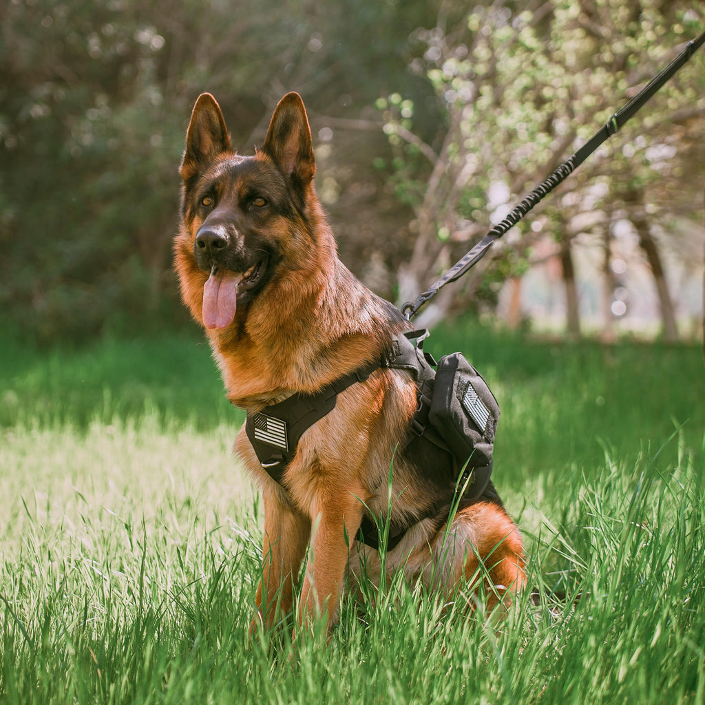 Forestpaw Tactical Dog Leash for Large Dogs,Heavy Duty Bungee Dog Leash with Shock Absorption,2 Padded Handles for Training Running Walking,Adjustable 4-5FT,Black