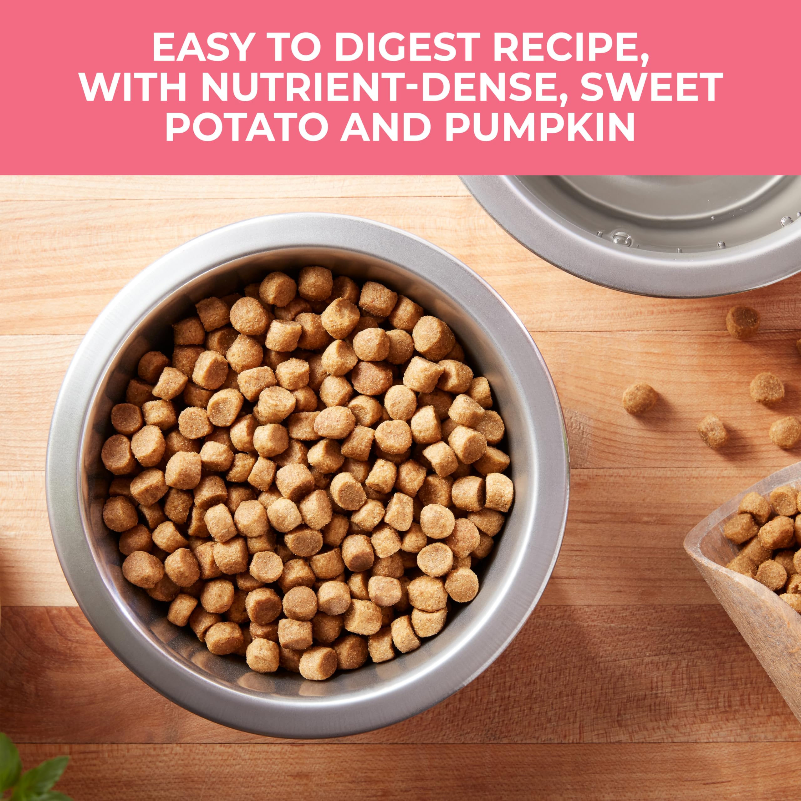 Nature’s Recipe Grain Free Dry Dog Food Salmon, Sweet Potato & Pumpkin Recipe, 24 lb. Bag
