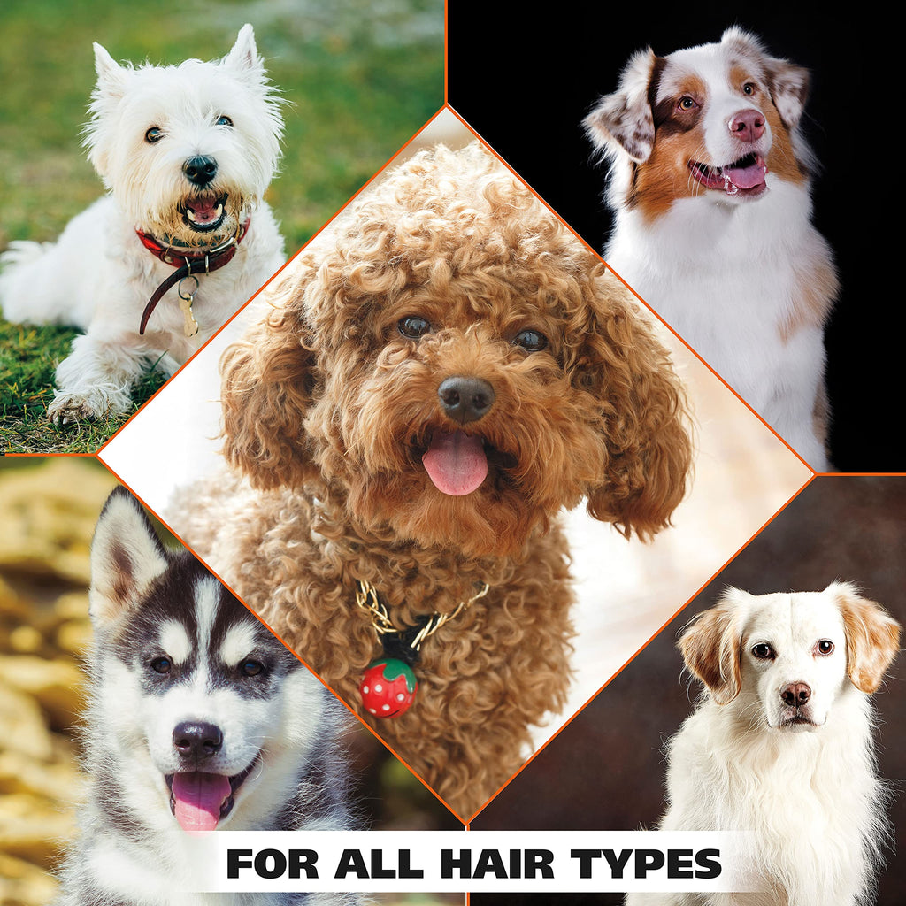 Wahl USA 4-in-1 Calming Pet Shampoo for Dogs with a Lavender Chamomile Scent – Cleans, Conditions, Detangles, & Moisturizes - Pet Friendly Formula – 64 Oz - Model 821000-050