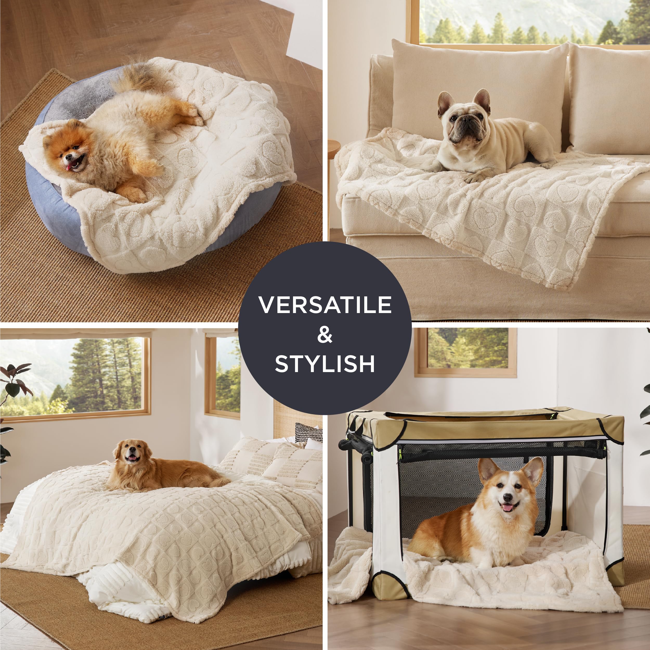 Bedsure Dog Blankets for Small Dogs Washable - Fluffy Fuzzy Cat Puppy Blanket with Premium 300GSM Coral Fleece Soft for Pet Kitten Doggy, White, 25x35IN